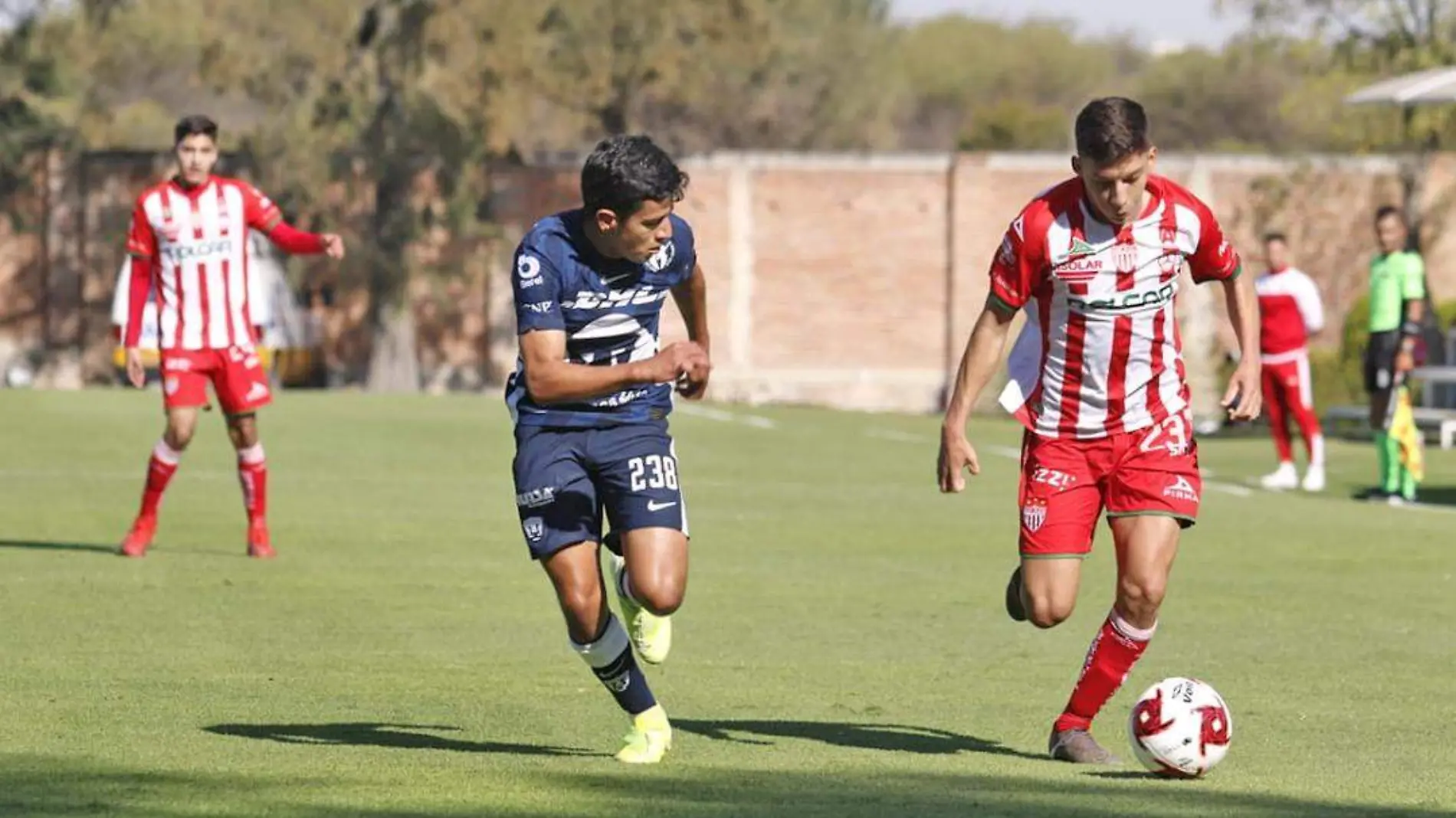 necaxa 1